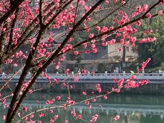 -望江楼公园