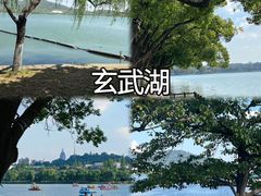 -李百蟹·江南蟹黄面·河景餐厅(夫子庙总店)