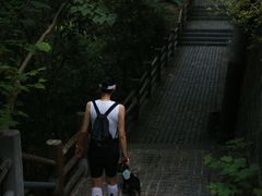 -紫金山山顶公园