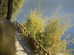 -广州市流溪河国家森林公园