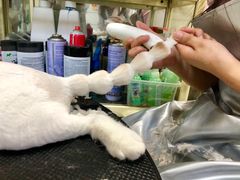 -多卡布奇宠物生活馆(上林世家店)