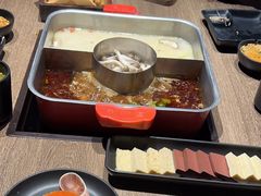 -新辣道鱼火锅(龙旗广场店)