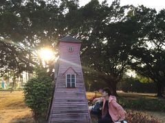 -南沙蒲洲花园