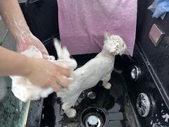 -贝利宠物医院·骨科·眼科·肿瘤转诊中心(南坪诊疗中心)