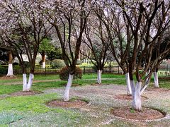 -百年尹氏汤包(湖南路狮子桥店)