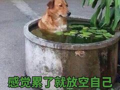 -台湾味正点车轮饼可丽饼(南禅寺店)