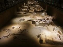 -洛阳周王城天子驾六博物馆