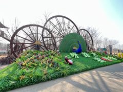 -呀路古热带植物园