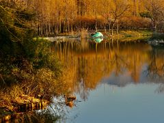 -西溪国家湿地公园