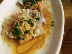 扇贝-热度餐厅(老佛爷店)