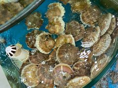 -聚德福海鲜家常菜(刘庄店)