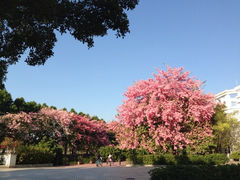 iphone_upload_pic-广州大学(桂花岗校区)