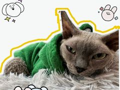 -和它·交个朋友·狗咖猫咖(爱琴海店)