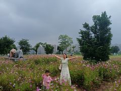-洋湖国家湿地公园