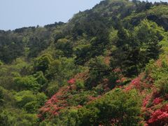 -木兰云雾山