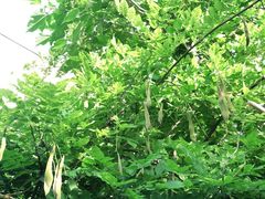 -斯多格书乡(北京大学畅春园店)