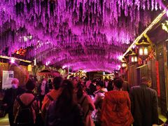 -婺源梦里老家大型山水实景演出