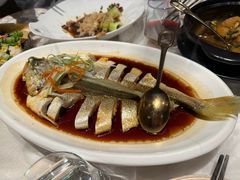 -迦南苑·新派青岛菜·生日纪念日主题餐厅