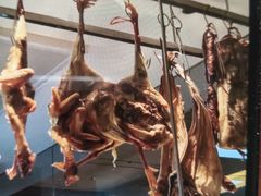 -奉天掌柜·非遗猪手·笨饺子(崇山路店)
