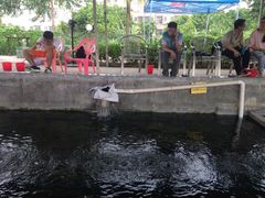 -小象钓虾·营地烧烤(洛溪店)