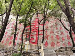 -沂蒙山旅游区龟蒙景区