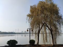 -金银湖国家城市湿地公园