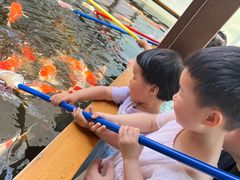 -杭州开元森泊度假乐园