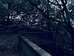 -上海佘山国家森林公园天马山园