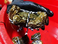 -青石桥市场北1-27号