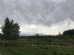 -洨河生态公园