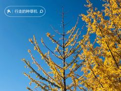 -永定河休闲森林公园