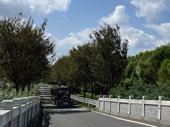 -莲花岛景区