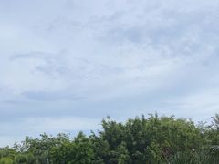-银泰阳光度假酒店-海悦轩中餐厅(海花路店)