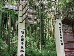 -潜山国家森林公园