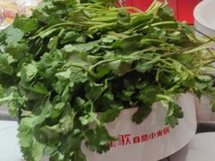 -龍歌自助小火锅(雨花台江南虹悦城店)