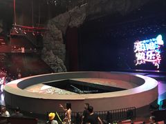 -重庆国际马戏城