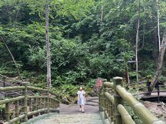 -茅兰沟国家森林公园