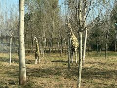 -秦皇岛野生动物园
