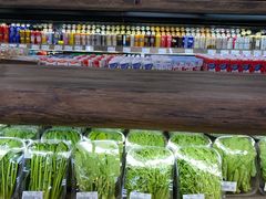 -果蔬好生活超市(双井店)