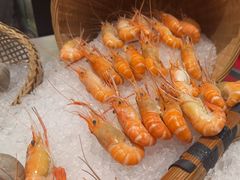 -咖啡厅自助餐厅(贵阳中天凯悦酒店)