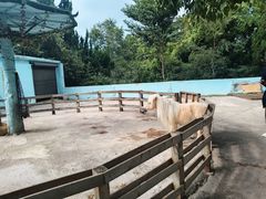 -昆明动物园