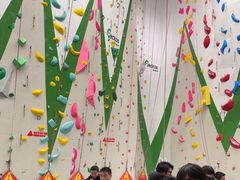 -绿壁虎攀岩基地(Tcar店)