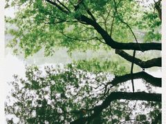 -西湖外事游船(花港观鱼码头)