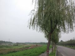 -洨河生态公园