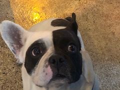 -Burger Bar 山沐西餐吧(钟村店)