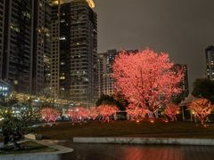 -西北湖绿化广场