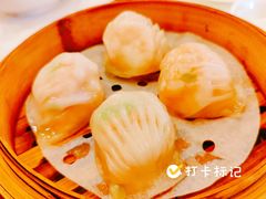 御彩虾饺皇-御彩酒家(东风东路店)