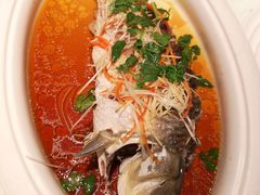 -阿五黄河大鲤鱼(纬三路店)