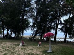 -三亚西岛海洋文化旅游区