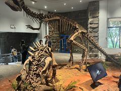 -自贡恐龙博物馆